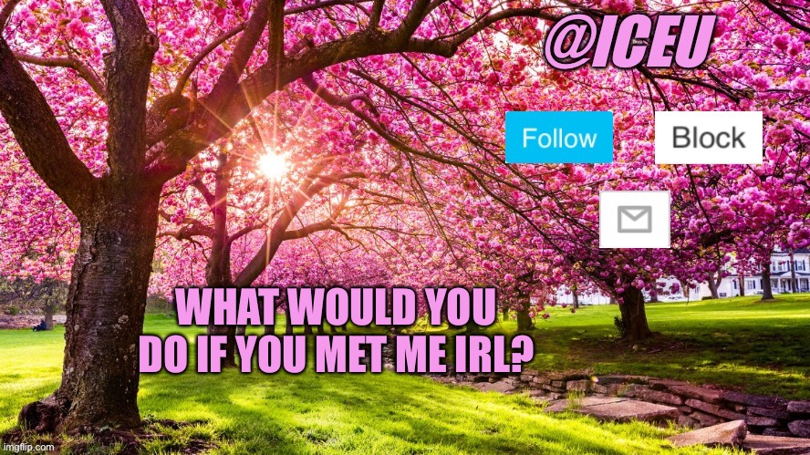 Trend | WHAT WOULD YOU DO IF YOU MET ME IRL? | image tagged in iceu spring template | made w/ Imgflip meme maker