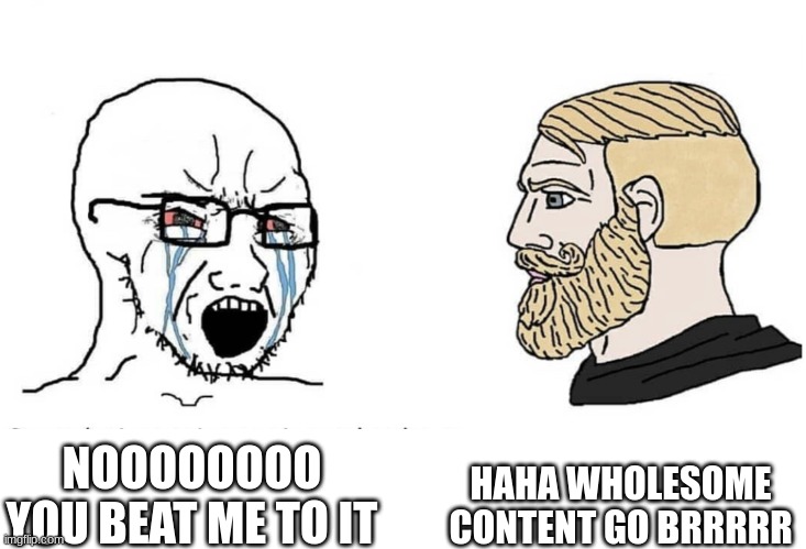 Soyboy Vs Yes Chad | NOOOOOOOO YOU BEAT ME TO IT HAHA WHOLESOME CONTENT GO BRRRRR | image tagged in soyboy vs yes chad | made w/ Imgflip meme maker