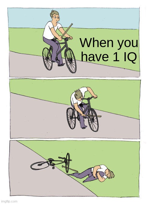 1 IQ | When you have 1 IQ | image tagged in memes,bike fall | made w/ Imgflip meme maker