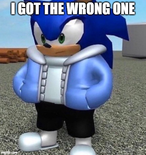 Sonic sans undertale | I GOT THE WRONG ONE | image tagged in sonic sans undertale | made w/ Imgflip meme maker