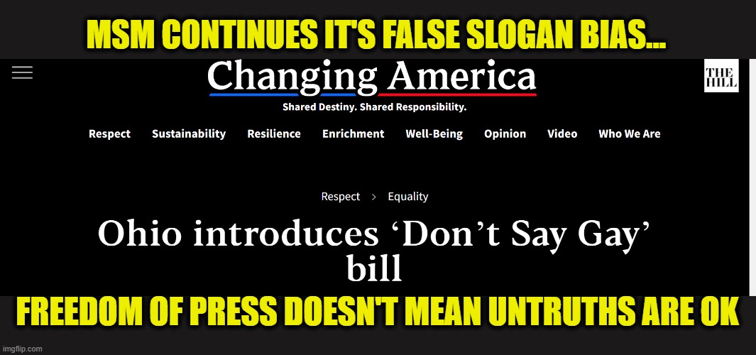 Untruths are Lies | MSM CONTINUES IT'S FALSE SLOGAN BIAS... FREEDOM OF PRESS DOESN'T MEAN UNTRUTHS ARE OK | image tagged in msm lies,political bias,freedom of the press | made w/ Imgflip meme maker