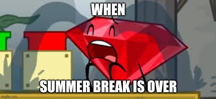I hate school | WHEN; SUMMER BREAK IS OVER | image tagged in bfdi ruby crying | made w/ Imgflip meme maker