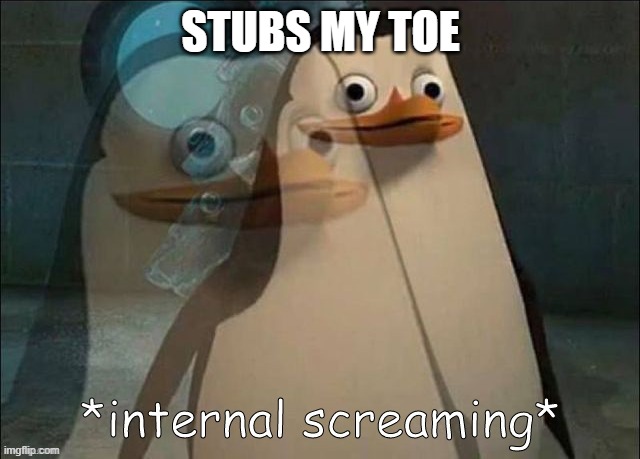 LMAO | STUBS MY TOE | image tagged in private internal screaming | made w/ Imgflip meme maker