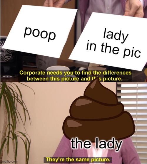 i dont want to be mean, but... | poop; lady in the pic; the lady | image tagged in memes,they're the same picture | made w/ Imgflip meme maker
