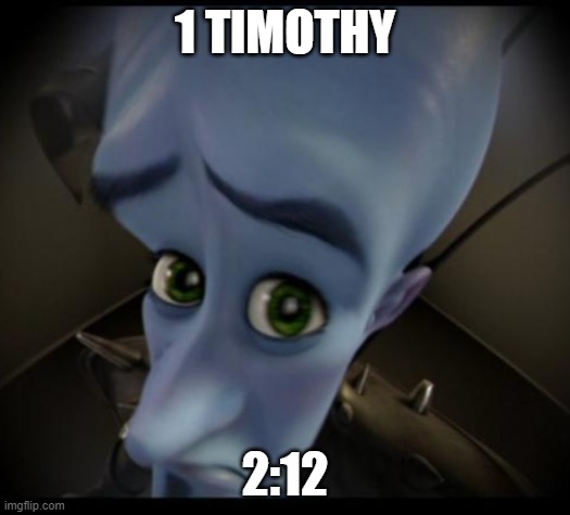 Megamind peeking | 1 TIMOTHY; 2:12 | image tagged in no bitches | made w/ Imgflip meme maker