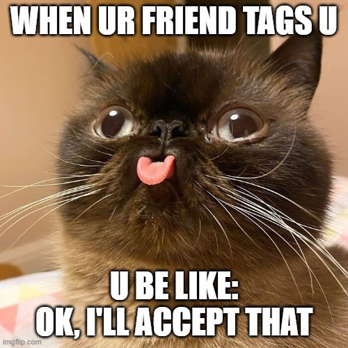 WHEN UR FRIEND TAGS U; U BE LIKE: OK, I'LL ACCEPT THAT | image tagged in funny | made w/ Imgflip meme maker