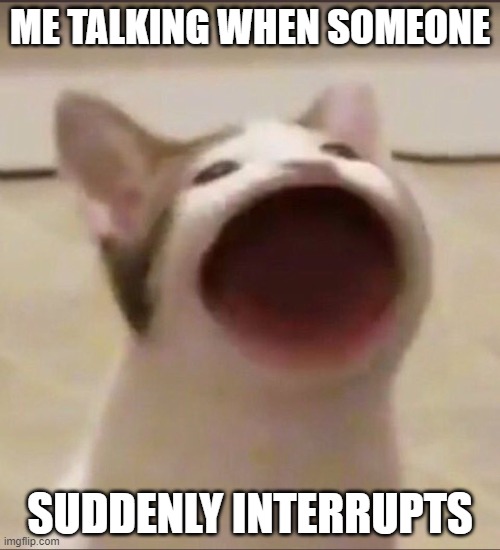 everyone hates when this happens | ME TALKING WHEN SOMEONE; SUDDENLY INTERRUPTS | image tagged in hate | made w/ Imgflip meme maker