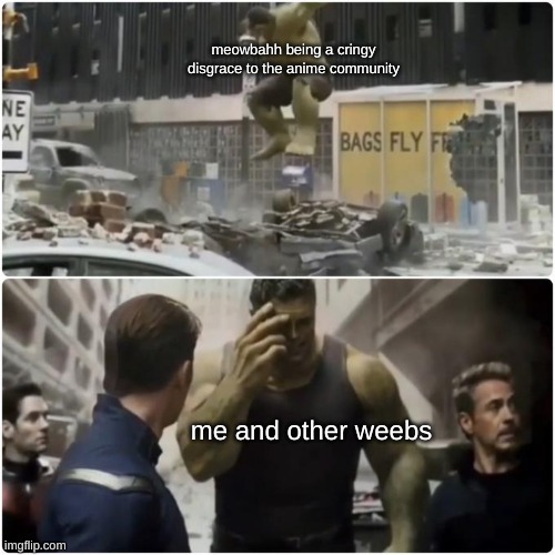 Regretful Hulk | meowbahh being a cringy disgrace to the anime community me and other weebs | image tagged in regretful hulk | made w/ Imgflip meme maker