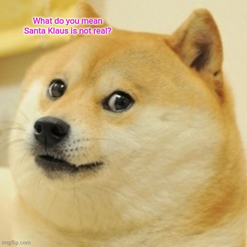 Doge | What do you mean Santa Klaus is not real? | image tagged in memes,doge | made w/ Imgflip meme maker