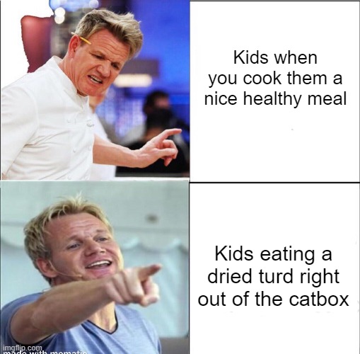 Now that's some gourmet sh!t | Kids when you cook them a nice healthy meal; Kids eating a dried turd right out of the catbox | made w/ Imgflip meme maker