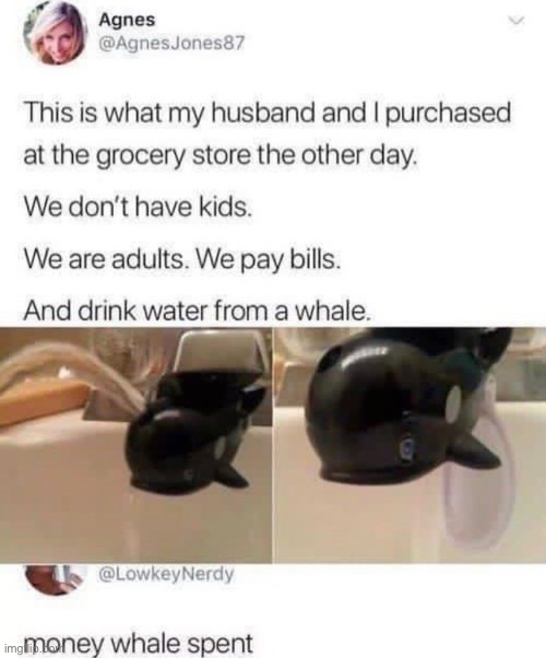 puns | made w/ Imgflip meme maker