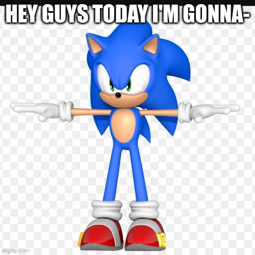 T pose sonic | HEY GUYS TODAY I'M GONNA- | image tagged in t pose sonic | made w/ Imgflip meme maker