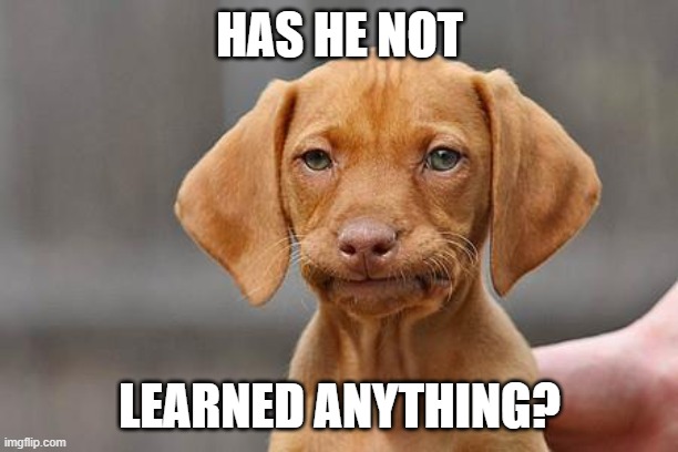 Dissapointed puppy | HAS HE NOT LEARNED ANYTHING? | image tagged in dissapointed puppy | made w/ Imgflip meme maker