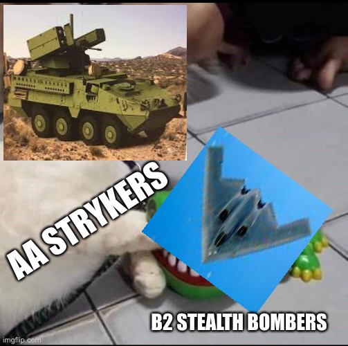 Bomber bot a Stryker |  AA STRYKERS; B2 STEALTH BOMBERS | image tagged in cat bitten by toy alligator,bomber,stryker | made w/ Imgflip meme maker