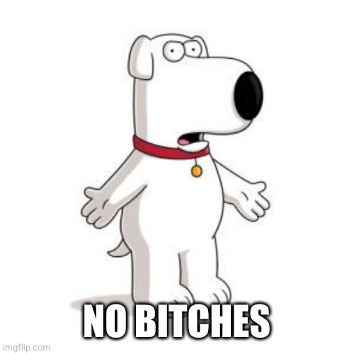 Family Guy Brian Meme | NO BITCHES | image tagged in memes,family guy brian | made w/ Imgflip meme maker