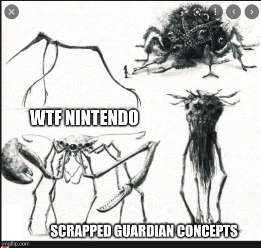 WTF NINTENDO; SCRAPPED GUARDIAN CONCEPTS | made w/ Imgflip meme maker