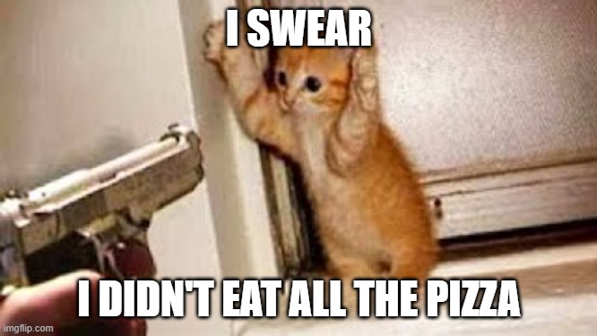 I SWEAR; I DIDN'T EAT ALL THE PIZZA | image tagged in cats | made w/ Imgflip meme maker