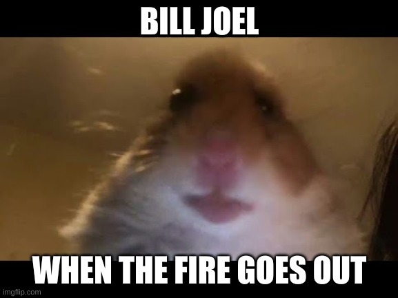 Hamster looking at camera | BILL JOEL; WHEN THE FIRE GOES OUT | image tagged in hamster looking at camera | made w/ Imgflip meme maker