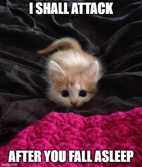 Rawr | I SHALL ATTACK; AFTER YOU FALL ASLEEP | image tagged in rawr | made w/ Imgflip meme maker