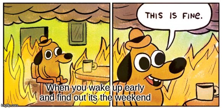 Mornings | When you wake up early and find out its the weekend | image tagged in memes,this is fine | made w/ Imgflip meme maker