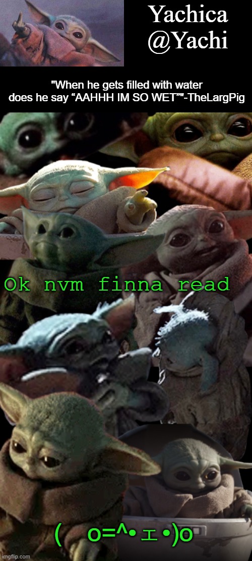 Yachi's baby Yoda temp | Ok nvm finna read; (　o=^•ェ•)o | image tagged in yachi's baby yoda temp | made w/ Imgflip meme maker