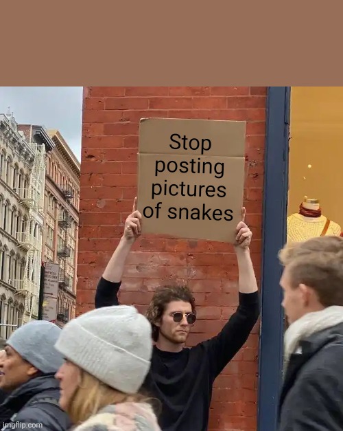 Stop Posting Pictures of Snakes | Stop posting pictures of snakes | image tagged in memes,guy holding cardboard sign | made w/ Imgflip meme maker