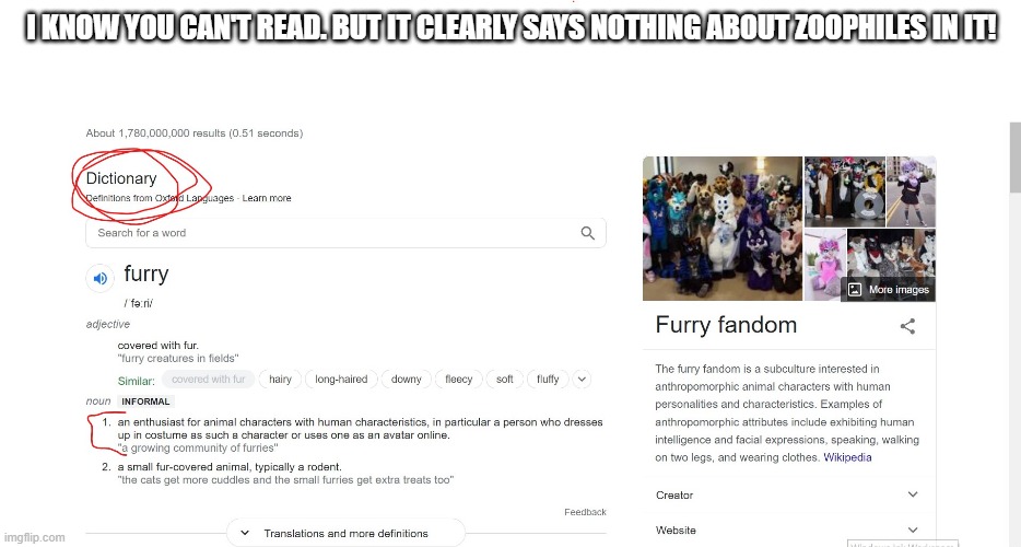 Furries | I KNOW YOU CAN'T READ. BUT IT CLEARLY SAYS NOTHING ABOUT ZOOPHILES IN IT! | image tagged in fun,memes,furry,furries,stupid | made w/ Imgflip meme maker