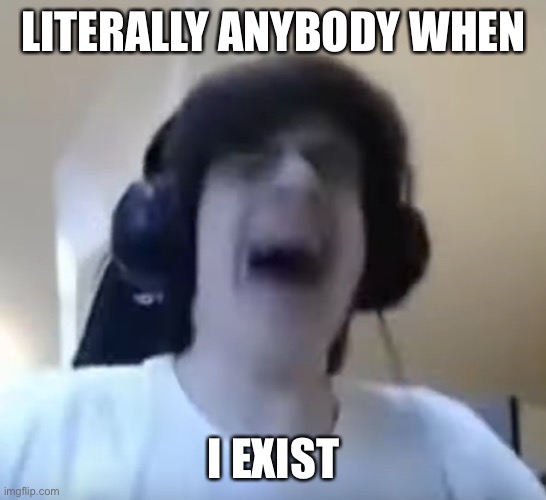why | LITERALLY ANYBODY WHEN; I EXIST | image tagged in npesta crying | made w/ Imgflip meme maker