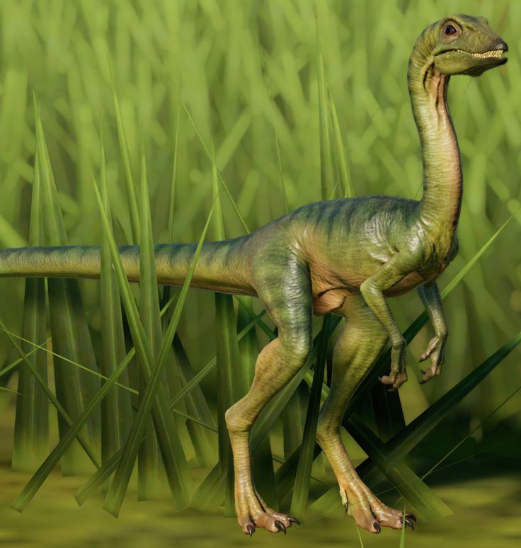 Compsognathus Blank Meme Template