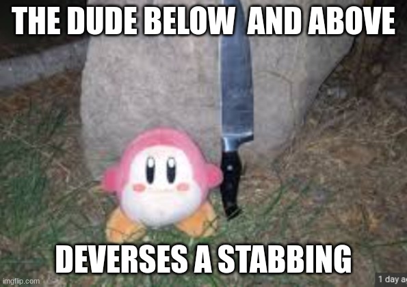 waddle dee with a knife | THE DUDE BELOW  AND ABOVE; DEVERSES A STABBING | image tagged in waddle dee with a knife | made w/ Imgflip meme maker