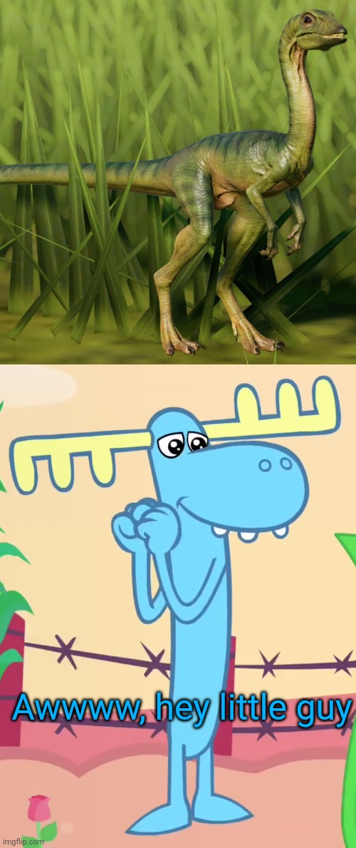 Lumpy meets a Compsonagthus | Awwww, hey little guy | image tagged in cute lumpy htf,jurassic park,jurassic world,dinosaur,animals,happy tree friends | made w/ Imgflip meme maker
