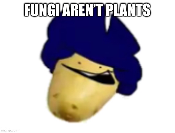 Petition to remove those mushrooms from “Plants” vs Zombies | FUNGI AREN’T PLANTS | image tagged in potavihh | made w/ Imgflip meme maker