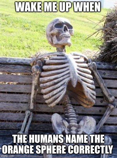 waiting on the official name | WAKE ME UP WHEN; THE HUMANS NAME THE ORANGE SPHERE CORRECTLY | image tagged in memes,waiting skeleton | made w/ Imgflip meme maker