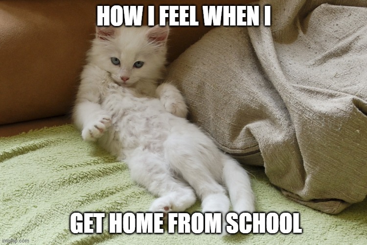 Laz craz | HOW I FEEL WHEN I; GET HOME FROM SCHOOL | image tagged in laz craz | made w/ Imgflip meme maker