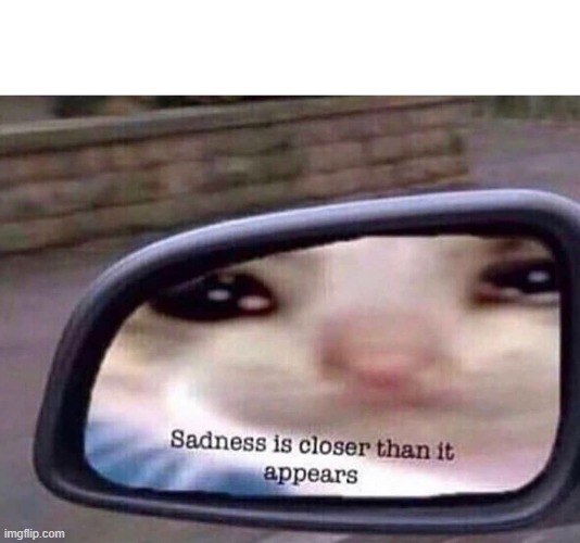 Sadness is closer than it appears | image tagged in sadness is closer than it appears | made w/ Imgflip meme maker