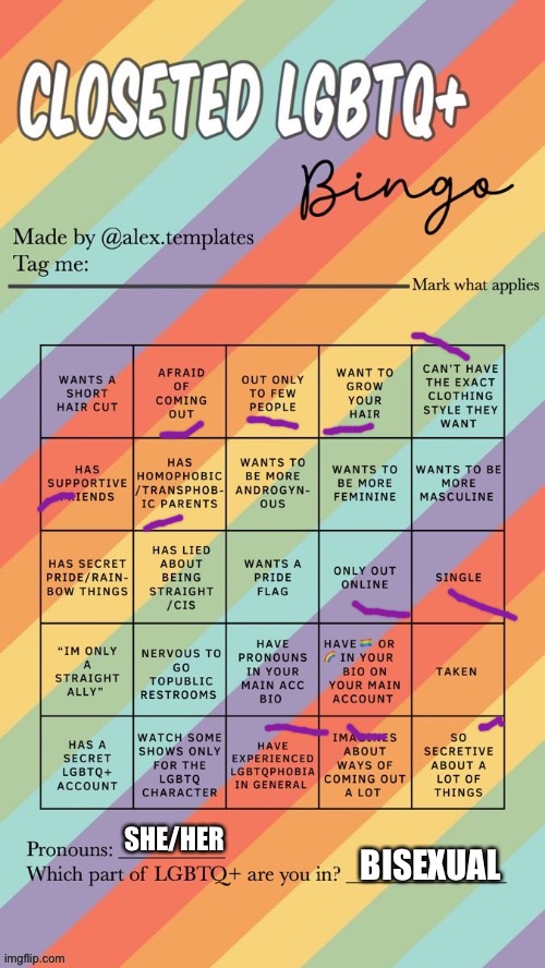 Closeted LGBTQ+ Bingo | SHE/HER; BISEXUAL | image tagged in closeted lgbtq bingo | made w/ Imgflip meme maker