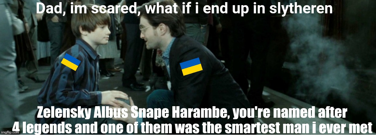 His name starts with a z *hint hint* | Dad, im scared, what if i end up in slytheren; Zelensky Albus Snape Harambe, you're named after 4 legends and one of them was the smartest man i ever met | image tagged in harry talkin 2 albus | made w/ Imgflip meme maker