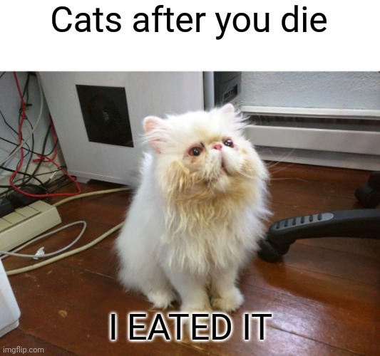 I EATED IT | Cats after you die I EATED IT | image tagged in i eated it | made w/ Imgflip meme maker
