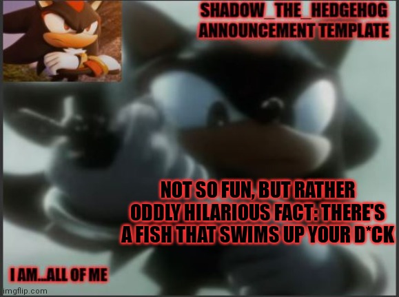 I am not joking. Look it up. | NOT SO FUN, BUT RATHER ODDLY HILARIOUS FACT: THERE'S A FISH THAT SWIMS UP YOUR D*CK | image tagged in shadow_the_hedgehog announcement template | made w/ Imgflip meme maker