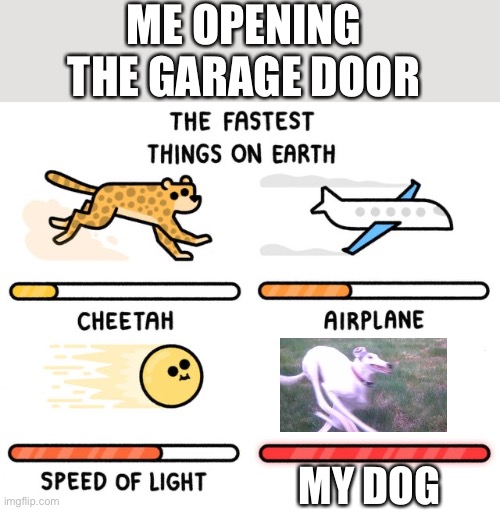 fastest thing possible | ME OPENING THE GARAGE DOOR; MY DOG | image tagged in fastest thing possible | made w/ Imgflip meme maker