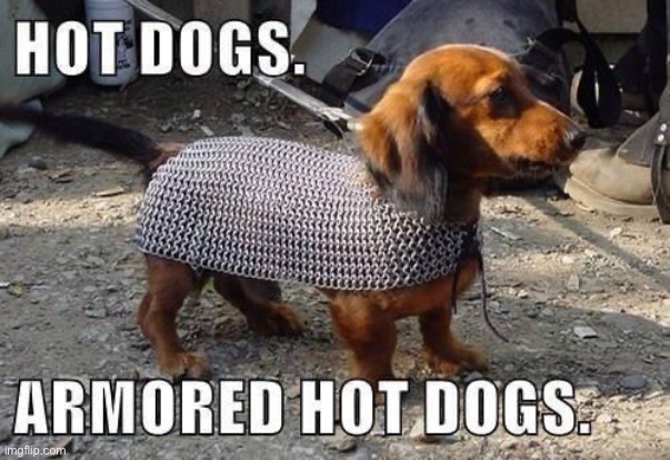 Hot dogs | . | image tagged in bad pun dog | made w/ Imgflip meme maker