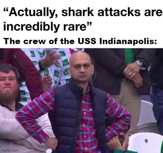 They Like Sailors Apparently | The crew of the USS Indianapolis: | image tagged in history memes | made w/ Imgflip meme maker