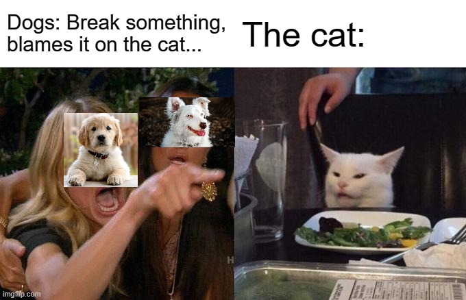 The cat's innocent! | Dogs: Break something, blames it on the cat... The cat: | image tagged in memes,woman yelling at cat,cats,dogs,funny | made w/ Imgflip meme maker