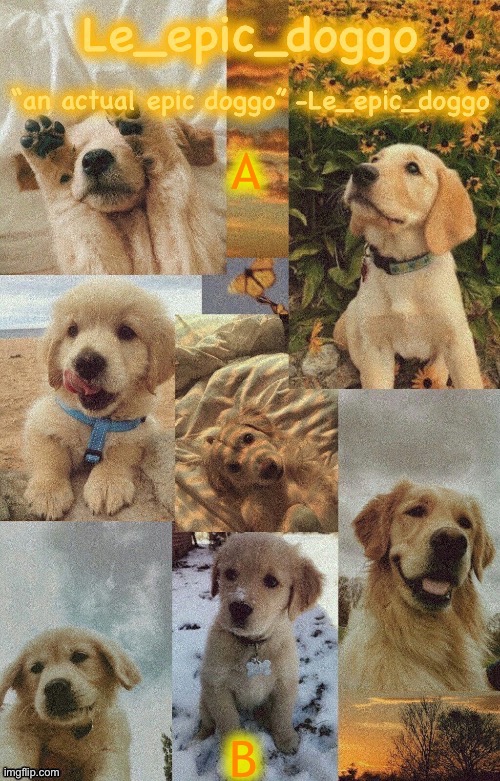 Doggo temp by doggo. Wait what that’s confusing | A; B | image tagged in doggo temp by doggo wait what that s confusing | made w/ Imgflip meme maker