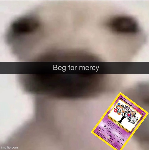 Beg for mercy | image tagged in beg for mercy | made w/ Imgflip meme maker