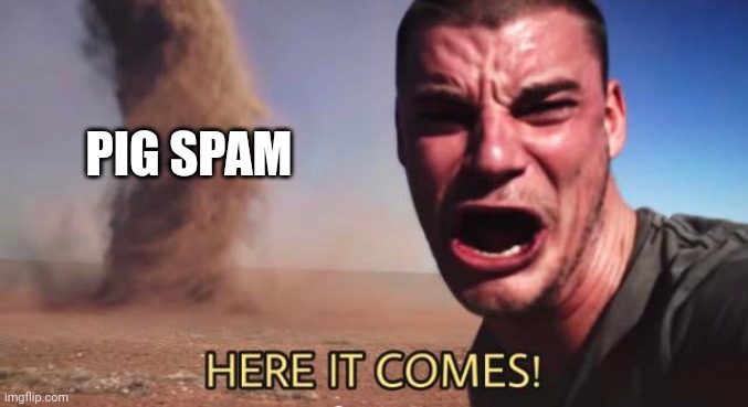 HERE IT COMES! | PIG SPAM | image tagged in here it comes | made w/ Imgflip meme maker