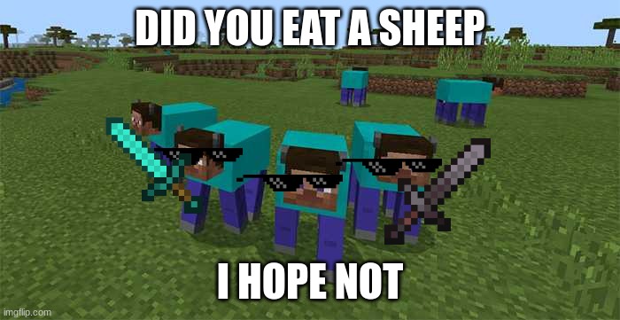 me and the boys | DID YOU EAT A SHEEP; I HOPE NOT | image tagged in me and the boys | made w/ Imgflip meme maker