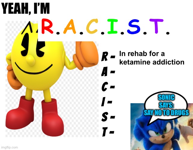 are you r.a.c.i.s.t. too? | SONIC SAYS:
SAY NO TO DRUGS | image tagged in i love drinking my crushes period blood | made w/ Imgflip meme maker