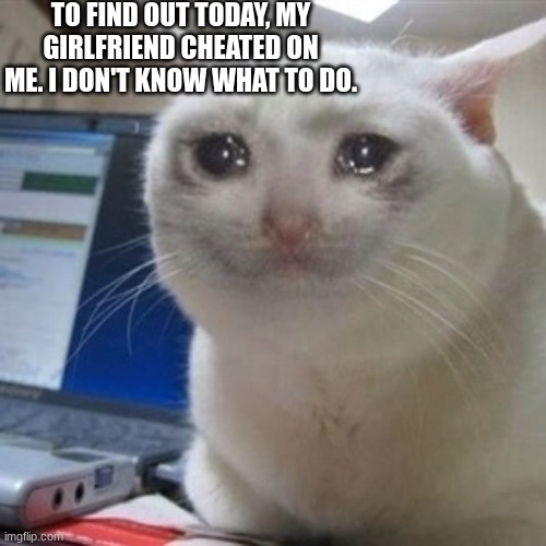 Help me! |  TO FIND OUT TODAY, MY GIRLFRIEND CHEATED ON ME. I DON'T KNOW WHAT TO DO. | image tagged in crying cat | made w/ Imgflip meme maker
