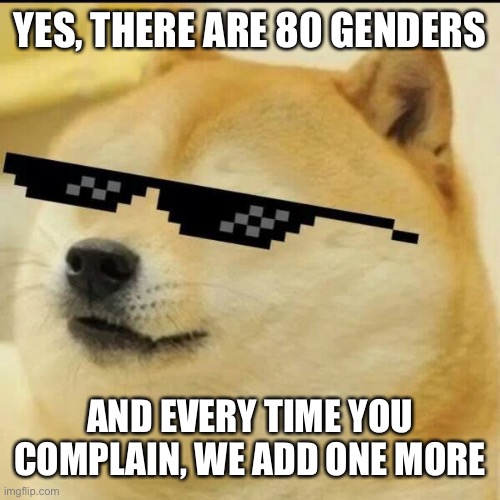 Snowflakes | YES, THERE ARE 80 GENDERS; AND EVERY TIME YOU COMPLAIN, WE ADD ONE MORE | image tagged in sunglass doge,genders,gender identity,transgender,oh wow are you actually reading these tags | made w/ Imgflip meme maker